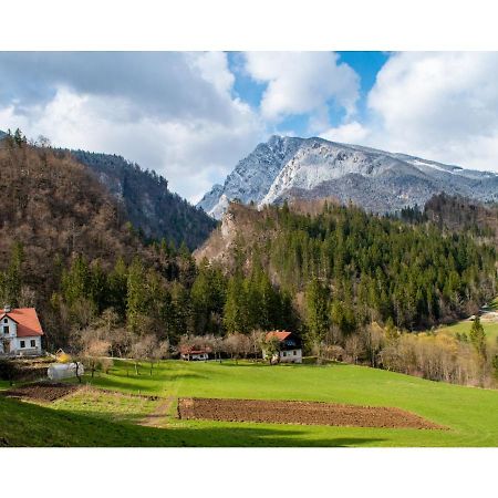 Turisticna Kmetija Stoglej Vila Luče Exterior foto