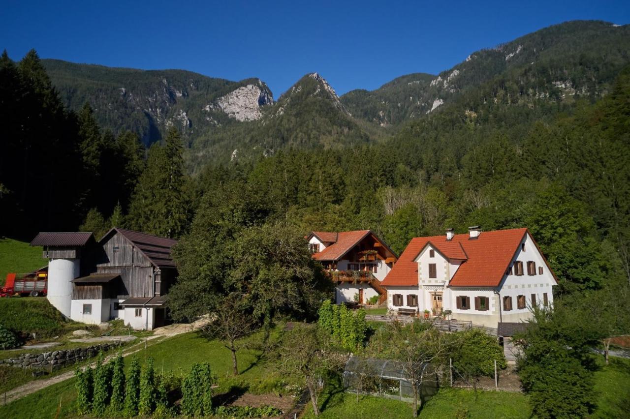 Turisticna Kmetija Stoglej Vila Luče Exterior foto