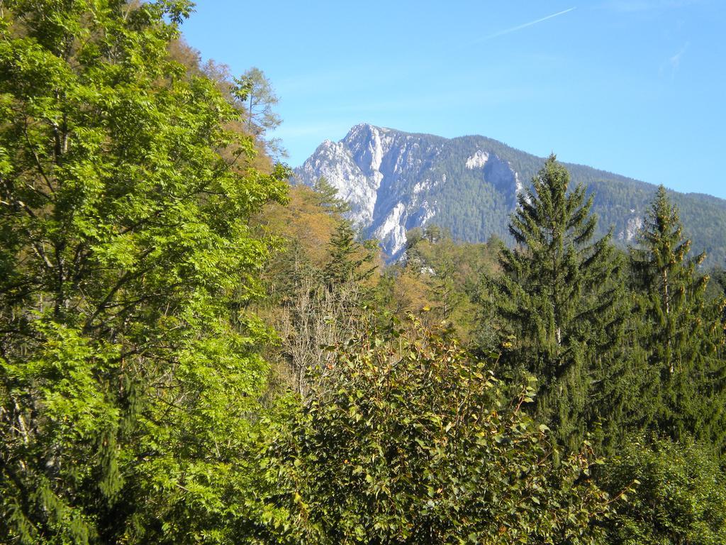 Turisticna Kmetija Stoglej Vila Luče Exterior foto