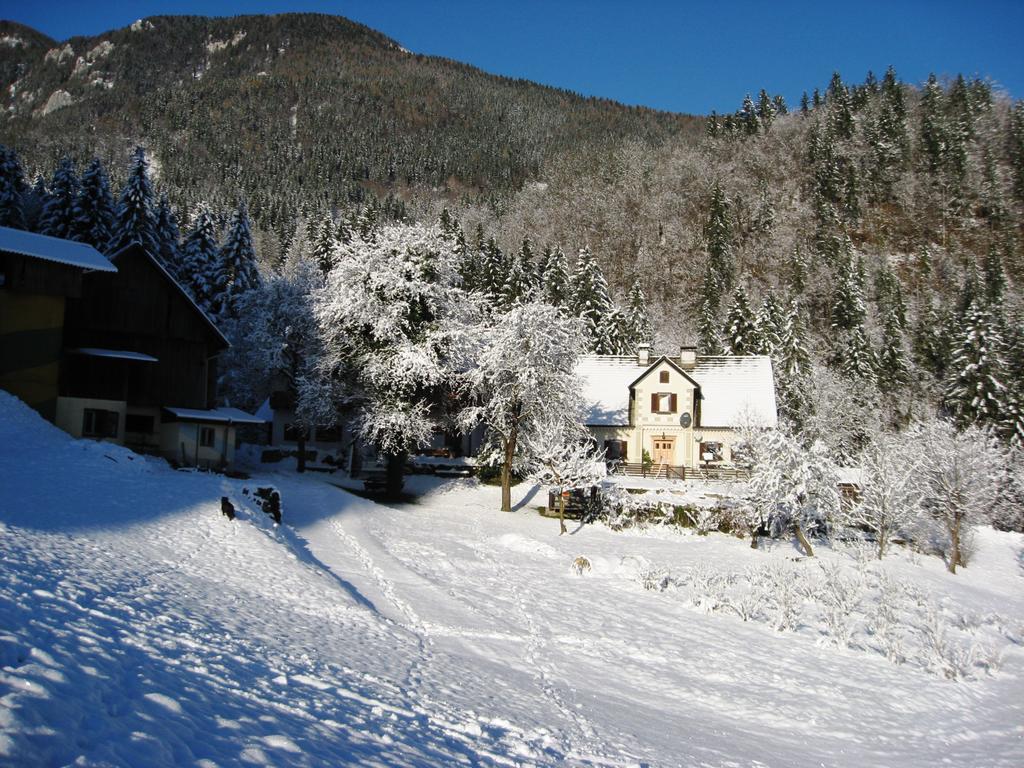 Turisticna Kmetija Stoglej Vila Luče Exterior foto