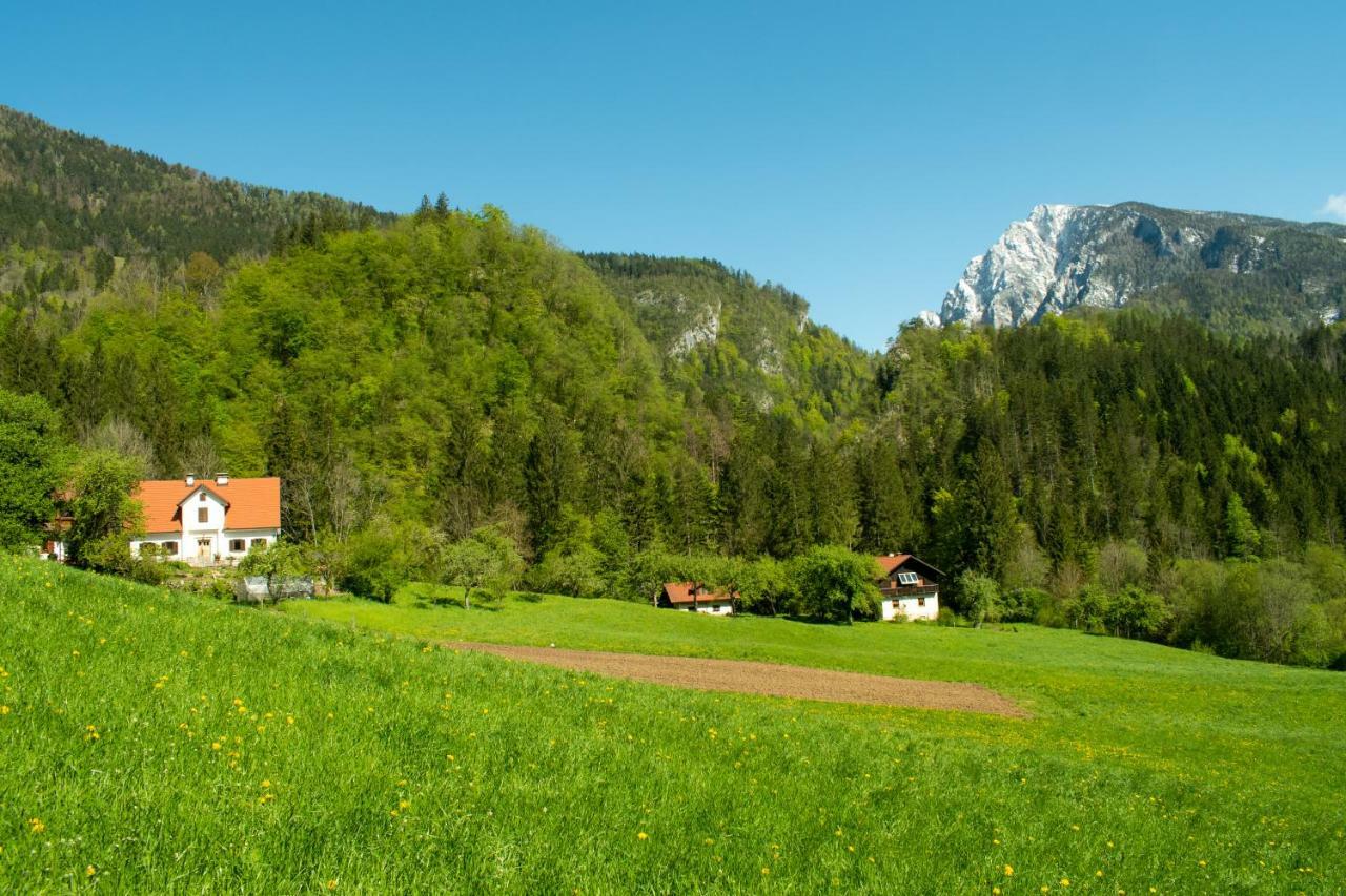 Turisticna Kmetija Stoglej Vila Luče Exterior foto